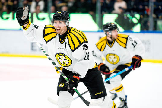 Brynäs Anton Rödin