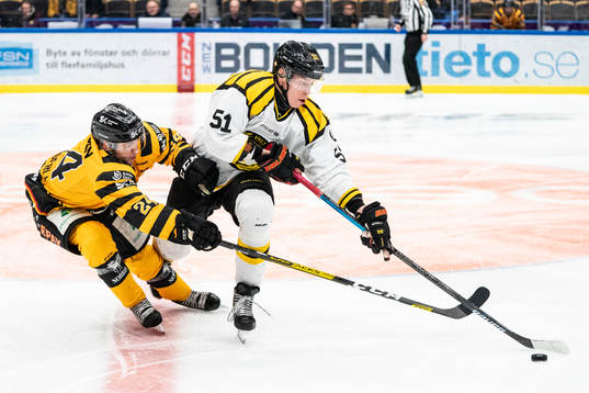 Skellefteås Andreas Wingerli och Brynäs Tomi Sallinen