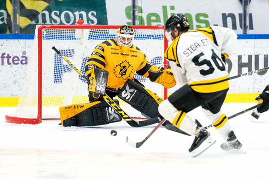 Skellefteås målvakt Mantas Armalis