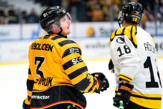Skellefteås Niclas Burström deppar