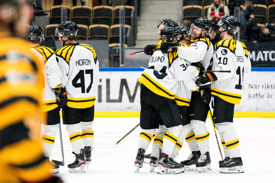 Brynäs jublar