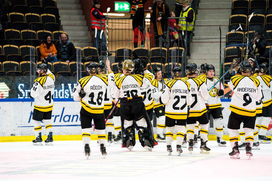 Brynäs jublar