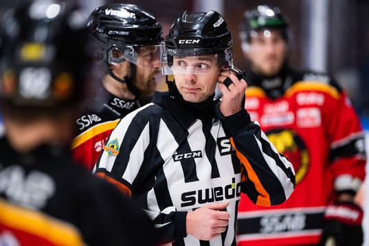 Domare Mikael Andersson