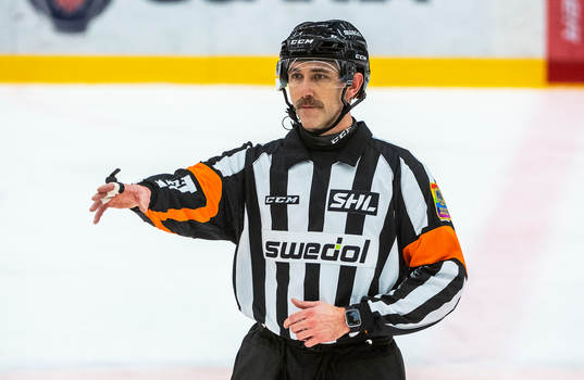 Domare Linus Öhlund