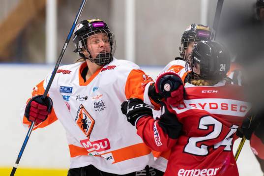 Karlskronas Romana Kosecka i bråk med Malmö Redhawks