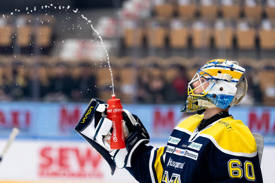 s målvakt Hugo Alnefelt