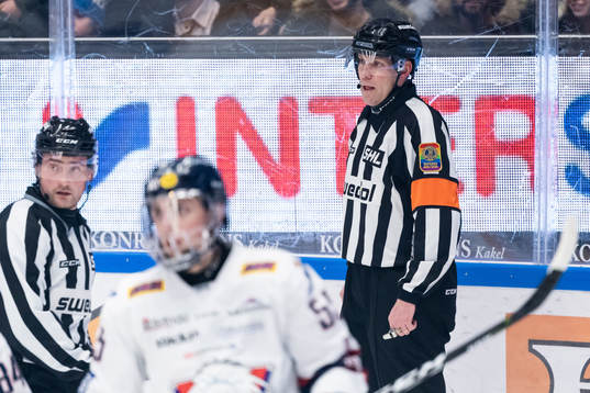 Domare Morgan Johansson