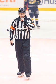 Domare Sören Persson