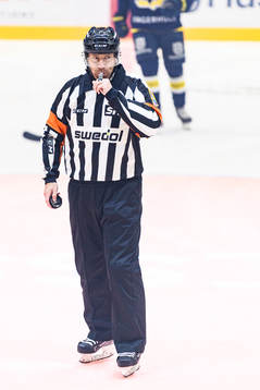 Domare Sören Persson