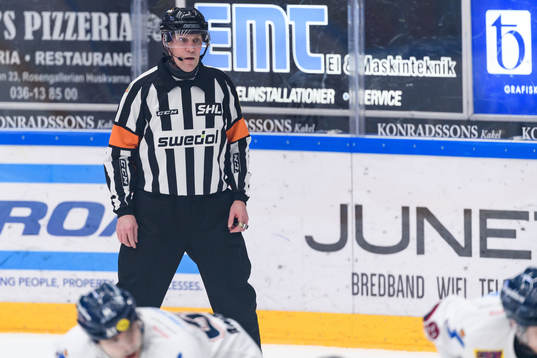 Domare Morgan Johansson