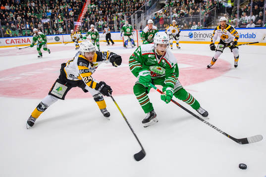 Bläddra bland fler bilder av Ishockey, SHL, Rögle - Skellefteå