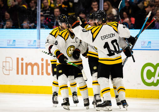 Brynäs spelare jublar med Greg Scott