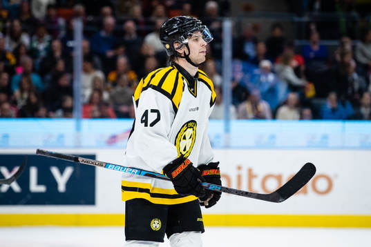Brynäs Eric Norin