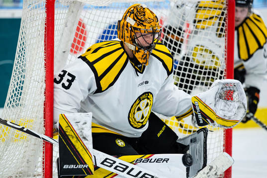 Brynäs målvakt Samuel Ersson
