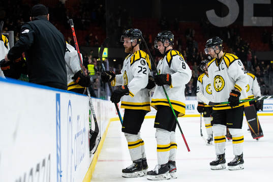 Brynäs spelare deppar