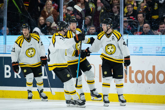 Brynäs spelare jublar med Greg Scott