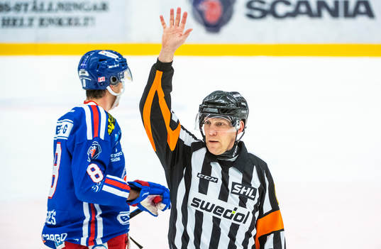 Domare Morgan Johansson