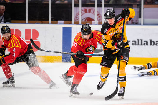Brynäs Eric Norin och Luleås Arttu Ilomäki
