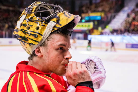 Brynäs målvakt Samuel Ersson
