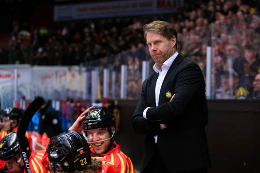 Brynäs strategiske rådgivare Andreas Dackell
