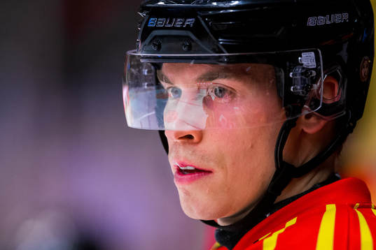Brynäs Tomi Sallinen