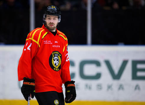 Brynäs Emil Molin