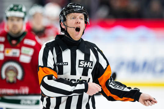 Domare Mikael Holm