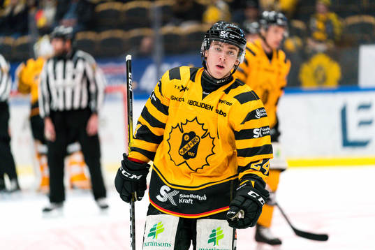 Skellefteås Andreas Wingerli deppar