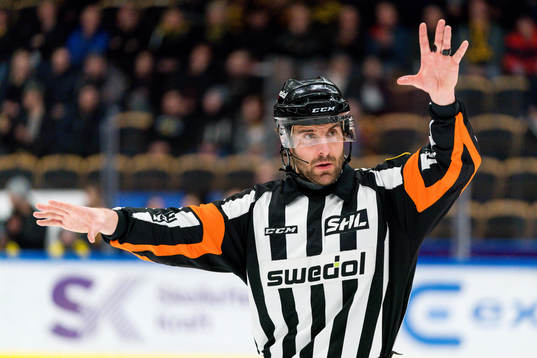 Domare Mikael Sjöqvist