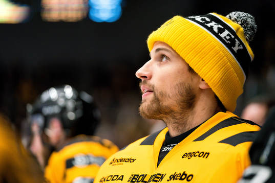 Skellefteås målvakt Mantas Armalis