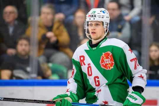 Rögles Dominik Bokk