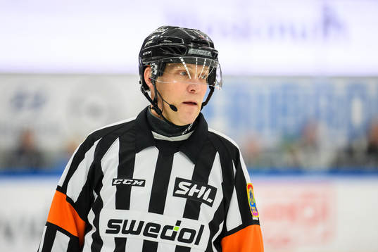 Domare Morgan Johansson