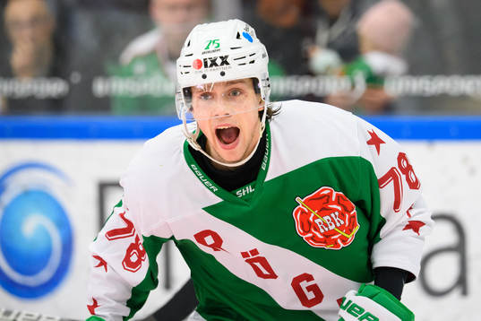 Rögles Dominik Bokk