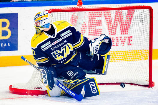 s målvakt Hugo Alnefelt