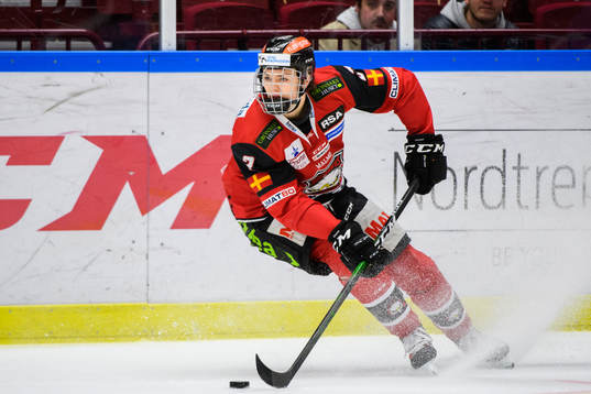 Malmö Redhawks Helge Grans