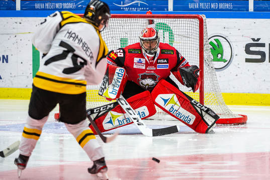 Malmö Redhawks målvakt Oscar Alsenfelt