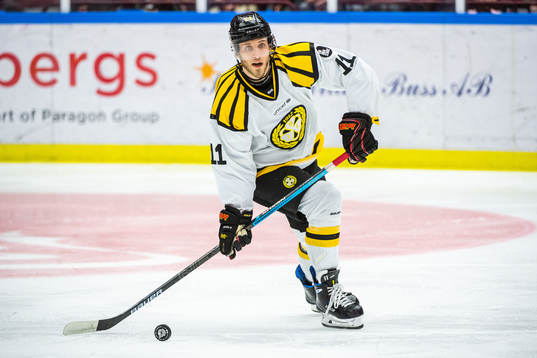 Brynäs Josef Ingman