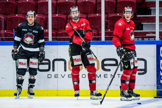 Ishockeyspelaren Helge Grans