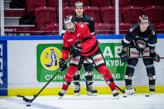 Ishockeyspelaren Helge Grans