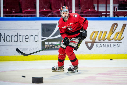 Ishockeyspelaren Helge Grans