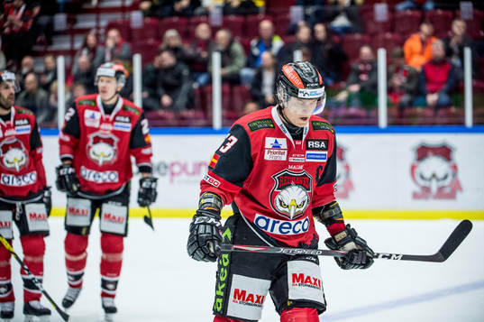 Malmö Redhawks Fredrik Händemark deppar