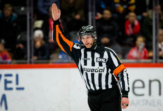 Domare Mikael Andersson