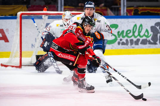 Luleås Radek Muzik