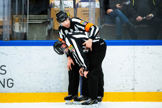Domare Mikael Sjöqvist