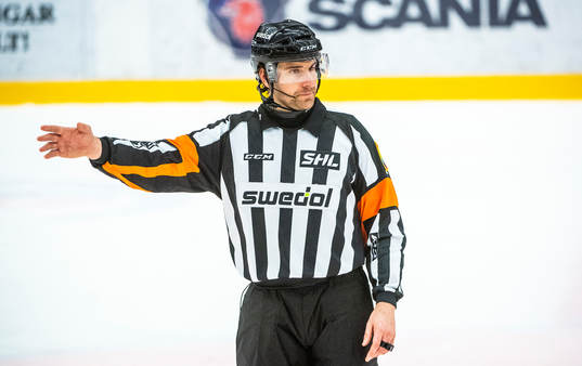 Domare Mikael Sjöqvist