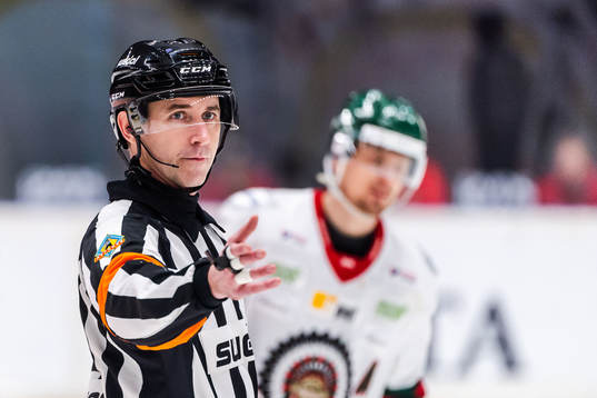 Domare Linus Öhlund
