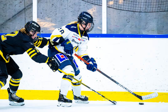 s Anna Borgqvist