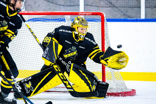 s målvakt Sabina Eriksson