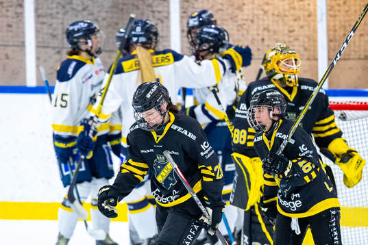 s Lisa Johansson , Emma Erikssonoch målvakt Sabina