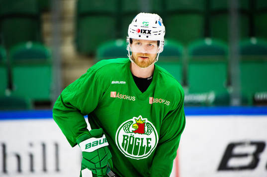 Rögles Ted Brithén